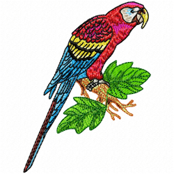 Parrots Embroidery Design 5